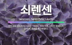 🌟쇠렌센: 덴마크의 생화학자(1868~1939). 수소 이온 지수인 피에이치(pH)의 개념을 제안하였다. - 표준국어대사전