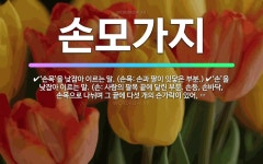 🌟손모가지: ‘손’을 낮잡아 이르는 말. (손: 사람의 팔목 끝에 달린 부분. 손등, 손바닥, 손목으로 나... - 표준국어대사전