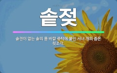 🌟솥젖: 솥전이 없는 솥의 몸 바깥 중턱에 붙인 서너 개의 좁은 쇳조각. - 표준국어대사전