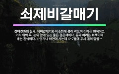 🌟쇠제비갈매기: 갈매깃과의 철새. 제비갈매기와 비슷한데 몸이 작으며 이마는 흰색이고 머리 위와 목, 눈의 ... - 표준국어대사전