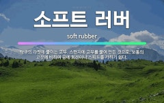 🌟소프트 러버: 탁구의 라켓에 붙이는 고무. 스펀지에 고무를 붙여 만든 것으로, 보통의 고무에 비하여 공에... - 표준국어대사전