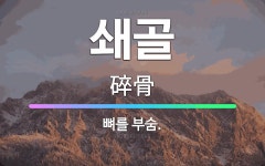 🌟쇄골: 뼈를 부숨. - 표준국어대사전