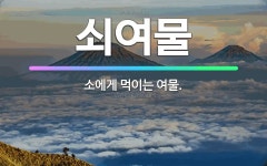 🌟쇠여물: 소에게 먹이는 여물. - 표준국어대사전