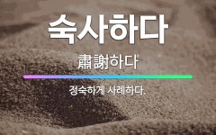 🌟숙사하다: 정숙하게 사례하다. - 표준국어대사전
