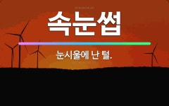 🌟속눈썹: 눈시울에 난 털. - 표준국어대사전
