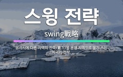🌟스윙 전략: 유사시에 다른 지역의 전력(戰力)을 분쟁 지역으로 옮겨 쓰는 미국의 전략. - 표준국어대사전