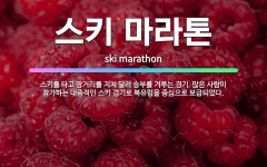 🌟스키 마라톤: 스키를 타고 장거리를 지쳐 달려 승부를 겨루는 경기. 많은 사람이 참가하는 대중적인 스키 ... - 표준국어대사전