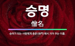 🌟승명: 승려가 되는 사람에게 종문(宗門)에서 지어 주는 이름. - 표준국어대사전
