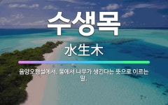 🌟수생목: 음양오행설에서, 물에서 나무가 생긴다는 뜻으로 이르는 말. - 표준국어대사전