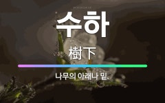 🌟수하: 나무의 아래나 밑. - 표준국어대사전