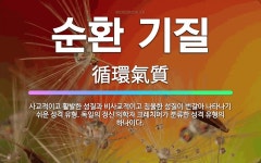 🌟순환 기질: 사교적이고 활발한 성질과 비사교적이고 침울한 성질이 번갈아 나타나기 쉬운 성격 유형. 독일의... - 표준국어대사전