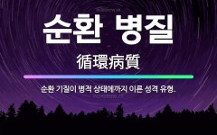 🌟순환 병질: 순환 기질이 병적 상태에까지 이른 성격 유형. - 표준국어대사전