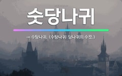 🌟숫당나귀: → 수탕나귀. (수탕나귀: 당나귀의 수컷.) - 표준국어대사전
