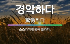 🌟경악하다: 소스라치게 깜짝 놀라다. - 표준국어대사전