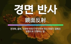 🌟경면 반사: 전자파, 음파, 수면파 따위가 반사하여 반사 파동이 정해진 방향으로 진행하는 일. - 표준국어대사전