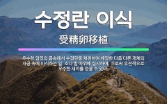 🌟수정란 이식: 우수한 암컷의 몸속에서 수정란을 채취하여 배양한 다음 다른 개체의 자궁 속에 이식하는 일.... - 표준국어대사전