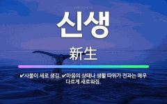 🌟신생: 사물이 새로 생김., 마음의 상태나 생활 따위가 전과는 매우 다르게 새로워짐. - 표준국어대사전