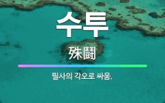 🌟수투: 필사의 각오로 싸움. - 표준국어대사전