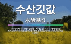 🌟수산깃값: 시료 속의 하이드록시기 함량을 나타내는 값. 시료 1그램에 함유된 하이드록시기의 양을 같은 양... - 표준국어대사전
