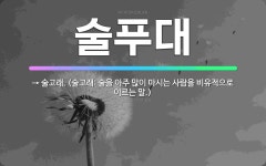 🌟술푸대: → 술고래. (술고래: 술을 아주 많이 마시는 사람을 비유적으로 이르는 말.) - 표준국어대사전
