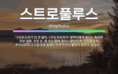 🌟스트로풀루스: ‘구진두드러기’의 전 용어. (구진 두드러기: 젖먹이에게 생기는 특유한 피부 질환. 주로 ... - 표준국어대사전