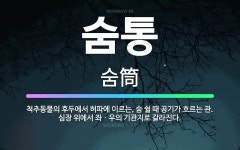 🌟숨통: 척추동물의 후두에서 허파에 이르는, 숨 쉴 때 공기가 흐르는 관. 심장 위에서 좌ㆍ우의 기관지로 ... - 표준국어대사전