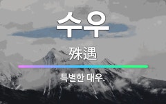 🌟수우: 특별한 대우. - 표준국어대사전