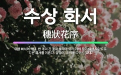 🌟수상 화서: 무한 화서의 하나. 한 개의 긴 꽃대 둘레에 여러 개의 꽃이 이삭 모양으로 피는 화서를 이른... - 표준국어대사전