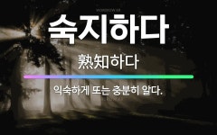 🌟숙지하다: 익숙하게 또는 충분히 알다. - 표준국어대사전