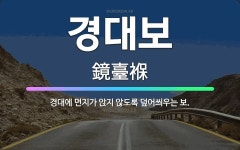 🌟경대보: 경대에 먼지가 앉지 않도록 덮어씌우는 보. - 표준국어대사전