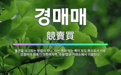 🌟경매매: 물건을 사고파는 방법의 하나. 사는 쪽과 파는 쪽이 모두 복수로서 서로 경쟁하여 매매가 이루어지... - 표준국어대사전
