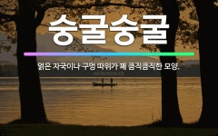 🌟숭굴숭굴: 얽은 자국이나 구멍 따위가 꽤 큼직큼직한 모양. - 표준국어대사전