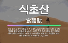 🌟식초산: 탄소 수가 두 개인 카복실산. 자극성의 냄새가 있고 신맛이 나며, 무색의 액체로 물과 알코올에 ... - 표준국어대사전