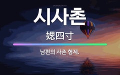 🌟시사촌: 남편의 사촌 형제. - 표준국어대사전