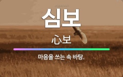 🌟심보: 마음을 쓰는 속 바탕. - 표준국어대사전