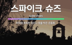 🌟스파이크 슈즈: 바닥에 뾰족한 징이나 못을 박은 운동화. - 표준국어대사전