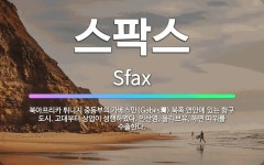 🌟스팍스: 북아프리카 튀니지 중동부의 가베스만(Gabès灣) 북쪽 연안에 있는 항구 도시. 고대부터 상업이... - 표준국어대사전