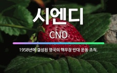 🌟시엔디: 1958년에 결성된 영국의 핵무장 반대 운동 조직. - 표준국어대사전