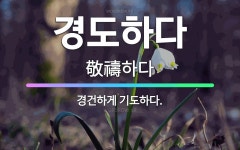 🌟경도하다: 경건하게 기도하다. - 표준국어대사전