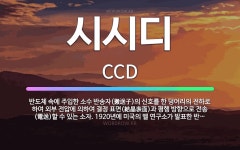 🌟시시디: 반도체 속에 주입한 소수 반송자(搬送子)의 신호를 한 덩어리의 전하로 하여 외부 전압에 의하여 ... - 표준국어대사전