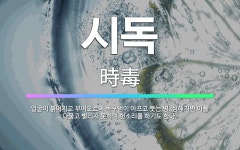 🌟시독: 얼굴이 붉어지고 부어오르며 목구멍이 아프고 붓는 병. 심해지면 이를 다물고 벌리지 못하며 헛소리를... - 표준국어대사전