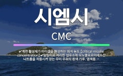 🌟시엠시: 계면 활성제가 마이셀을 형성하는 최저 농도.【critical micelle concentrati... - 표준국어대사전