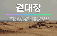 🌟곁대장: 예전에, 용해(鎔解)의 일을 맡아보던 직책. 또는 그런 사람., 예전에, 놋점을 관리ㆍ운영하던 ... - 표준국어대사전