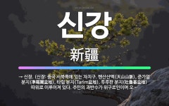 🌟신강: → 신장. (신장: 중국 서북쪽에 있는 자치구. 톈산산맥(天山山脈), 준가얼 분지(準喝爾盆地), ... - 표준국어대사전