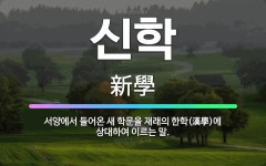 🌟신학: 서양에서 들어온 새 학문을 재래의 한학(漢學)에 상대하여 이르는 말. - 표준국어대사전
