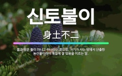 🌟신토불이: 몸과 땅은 둘이 아니고 하나라는 뜻으로, 자기가 사는 땅에서 산출한 농산물이라야 체질에 잘 맞... - 표준국어대사전