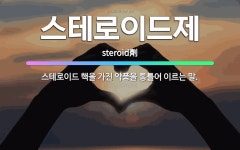 🌟스테로이드제: 스테로이드 핵을 가진 약품을 통틀어 이르는 말. - 표준국어대사전