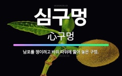 🌟심구멍: 남포를 쟁이려고 바위 따위에 뚫어 놓은 구멍. - 표준국어대사전