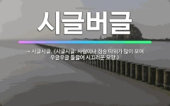 🌟시글버글: → 시글시글. (시글시글: 사람이나 짐승 따위가 많이 모여 우글우글 들끓어 시끄러운 모양.) - 표준국어대사전