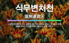 🌟식무변처천: 사공처(四空處)의 하나. 물질에 대한 모든 욕망을 버리고, 식(識)이 무변(無邊)하다는 이치... - 표준국어대사전